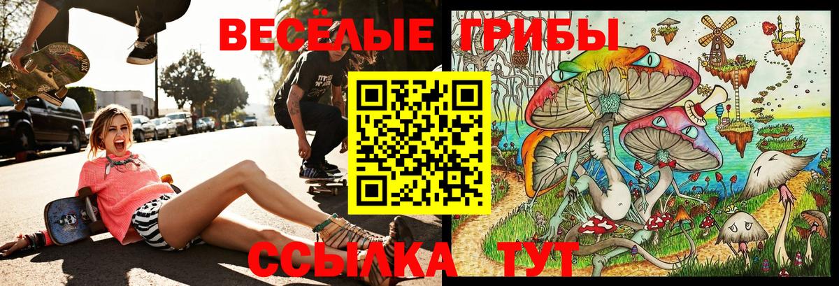 Галлюциногенные грибы GOLDEN TEACHER Гусиноозёрск