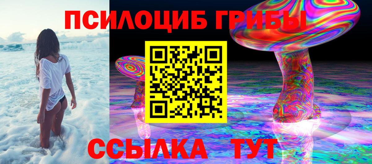 Гусиноозёрск  Галлюциногенные грибы прущие грибы  Вход с VPN  Галлюциногенные грибы прущие грибы 